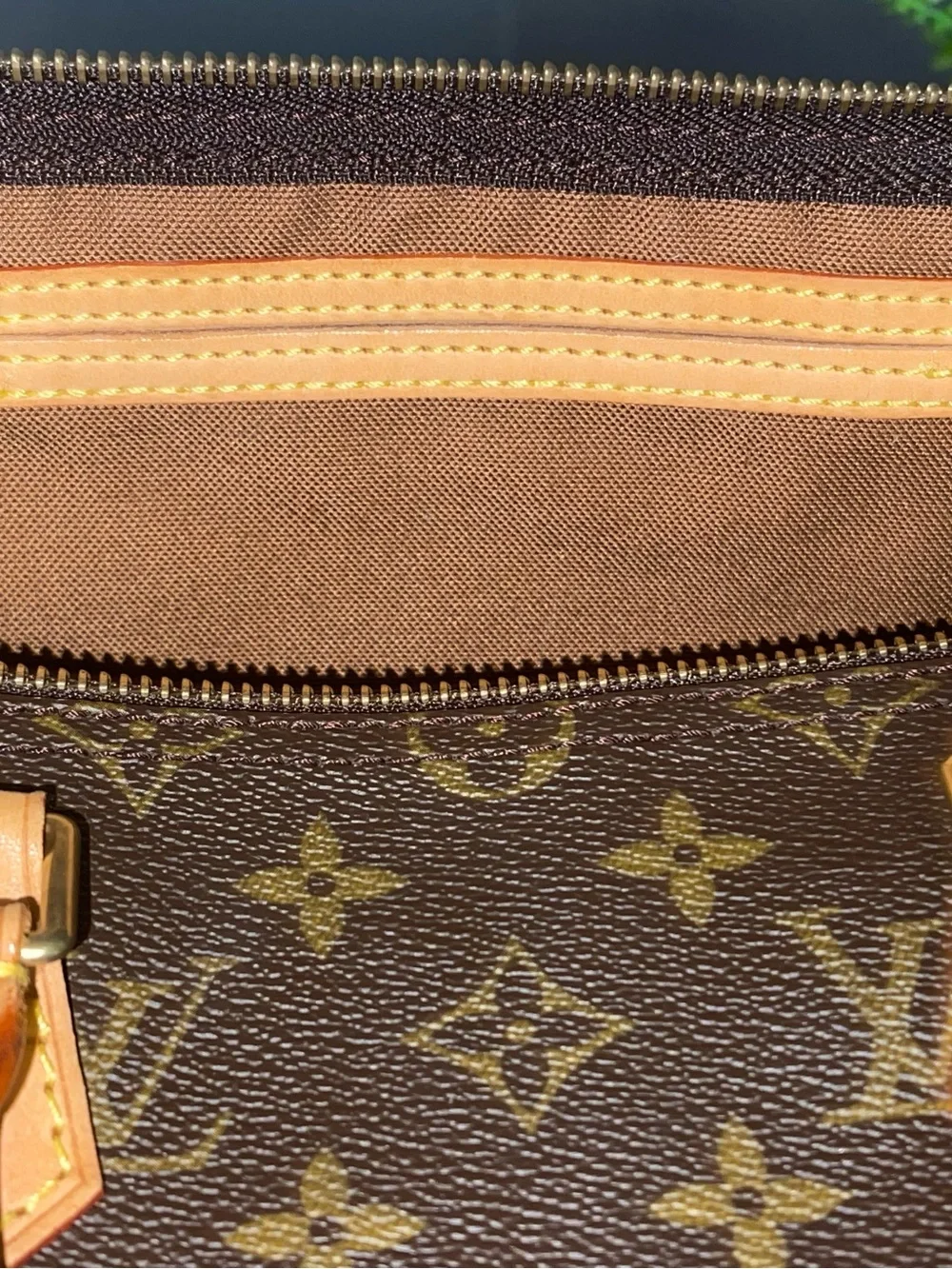 Louis Vuitton iconic louis